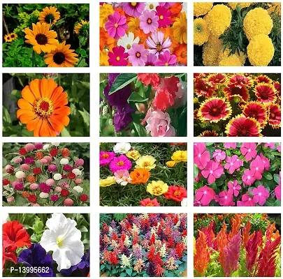 16 Variety of Flower Combo Seeds-thumb0