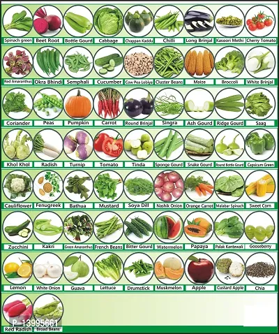 65 Varieties of Vegetables and Fruit Seeds Combo Pack