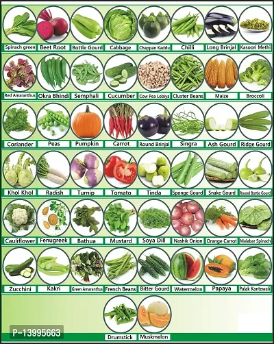 50 Varieties of Vegetable Seeds Combo Pack