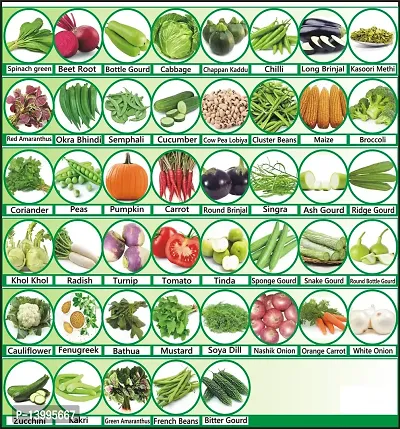 45 Varieties of Vegetable Seeds Combo Pack