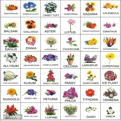 Flower Seeds Combo 40 Varieties Seeds Pack