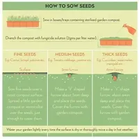 30 Varieties of Vegetable Seeds Combo Pack-thumb2