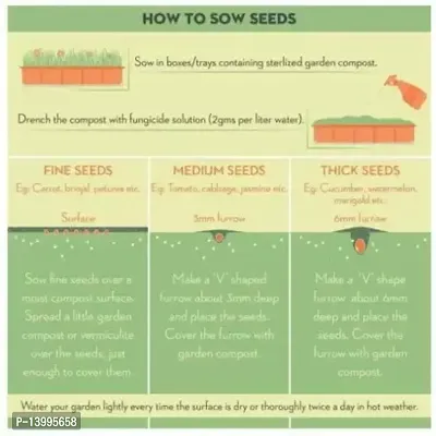 30 Varieties of Vegetable Seeds Combo Pack-thumb3