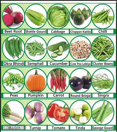 20 Varieties of Vegetable Seeds Combo Pack