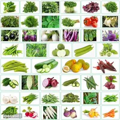 Flare Seeds 45 Variety of Vegetable Seeds Combo Pack