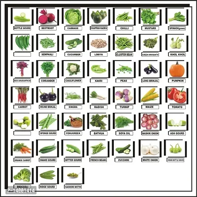 Flare Seeds 45 Variety of Vegetable Seeds Combo Pack