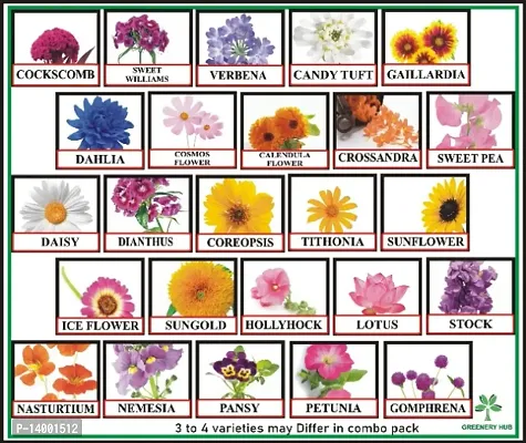 Morbih 25 Variety of Flower Seeds Combo