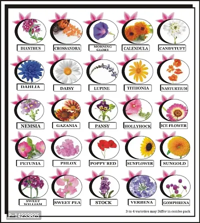 Morbih 25 Variety Of Flower Seeds Combo Pack-thumb0