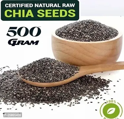 Raw Chia Seeds 500 Gm Chia Seeds