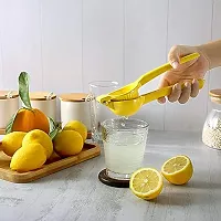 Lemon Juice Extractor for Kitchen-thumb2