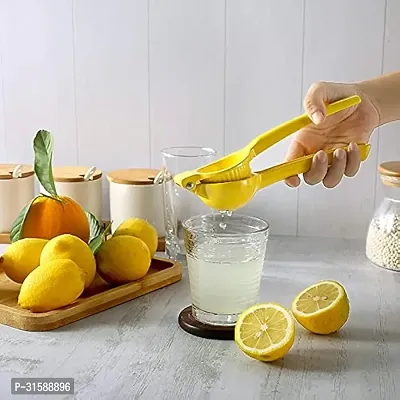 Lemon Juice Extractor for Kitchen-thumb3