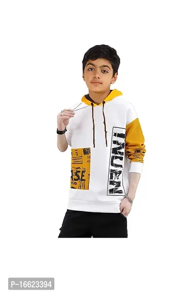 Big Boys Hoody Full Sleeve Pack of 1