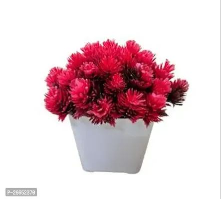 Red Flower With White Pot For Decoration