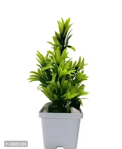 Avaomme Green Bush With Big White Plastic Pot And Stones