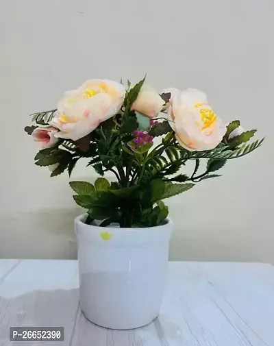 Rose Flower Bonsai With White Pot