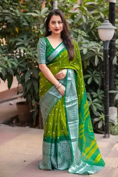 Hot Selling Brasso Saree with Blouse piece 