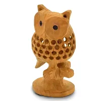 Good Luck Sign Wooden Owl Sitting Tree Branch -180-thumb1