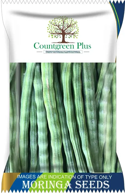 Countgreen Plus Premium Quality Drumstick/Moringa Oleifera (Sehjan Ki Fali) Vegetable Seeds Seed  (20 per packet)