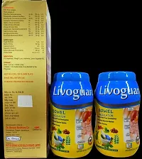 SALSA  SYRUP and LIVOGUARD FOR IMMUNITY,LIVER and DIGESTIVE DISORDER-thumb2