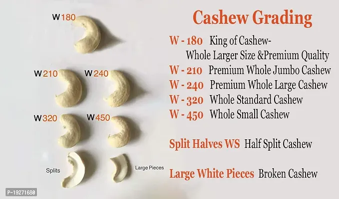 URBANS 200G Export Quality Dry Roasted and Salted Cashews Large Kernels Whole Big Size Nut Premium Kaju TIN W240 Grade (200gram)-thumb2