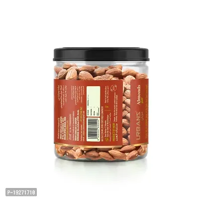 URBANS Roasted N Lightly Salted Almonds Dry Fruit (Healthy Snack) (250G)-thumb2