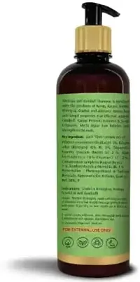 Shrikaya Anti-Dandruff Shampoo Enriched With Neem Methi Gritkumari Anti Dandruff Shampoo,100ML (Pack of 3)-thumb2