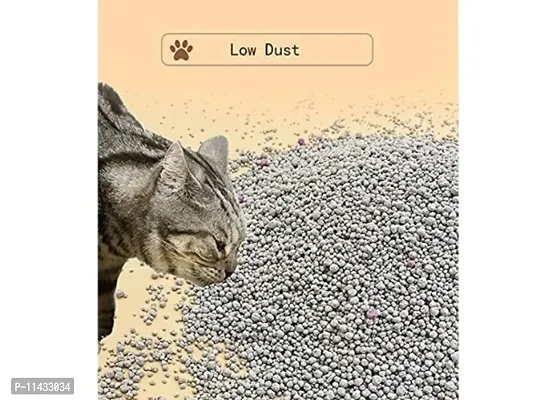 Advance Cat Litter 1 KGS Litter 99.99% Dust Free-thumb4