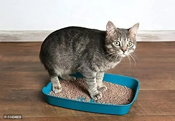 Fresh Clumping Cat Litter Sand 1 Kg-thumb0