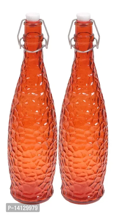 Puchku Crystal Glass Water Bottle, Set of 2