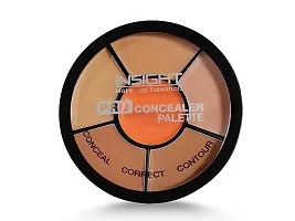 Insight Cosmetic orange  Pro Concealer Palette-Concealer (CR105-Concealer)-thumb1