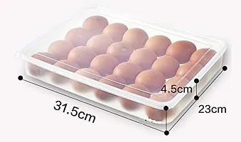 Prisma collections BPA-free Food Grade Plastic Egg Storage Box Deviled Egg Platter Container Holder Tray for Fridge with Lid for 2 Dozen 24 Grids (Pack of 1)-thumb2