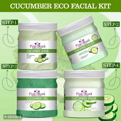 Cucumber Eco Facial Kit , 500gm Pack of 4, Anti Acne, Pimples Control, Tan Removal, Dead Skin Removal, Nourishing  Moisturising Skin