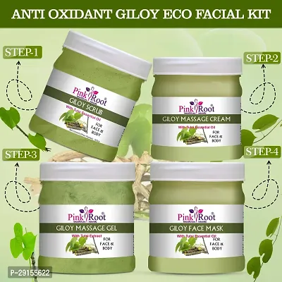 Giloy Eco Facial Kit , 500gm Pack of 4, For Glowing Skin,Tan Removal, Whitening, Depigmentation, Oil Control, Acne  Fairness-thumb0