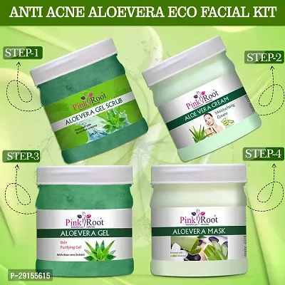 Aloevera Eco Facial Kit, 500gm Pack of 4, for Anti Acne, Pimples Control, Tan Removal, Dead Skin Removal, Nourishing  Moisturising Skin