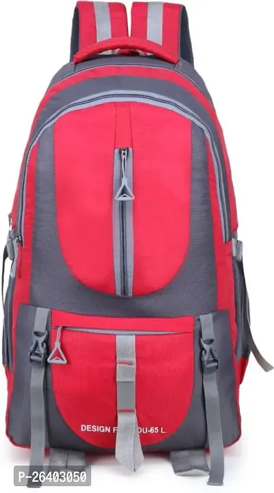 Stylist Backpack For Men And Women-thumb0