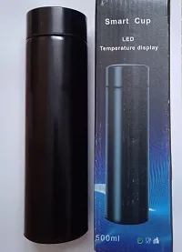 Stainless Steel Temperature Water Bottle-thumb4