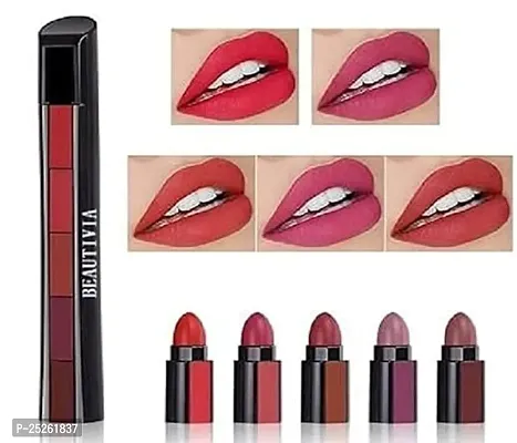 ADS 5 in 1 Waterproof Matte Lipstick Set (5-color) Dark Shades, Matte Finish - Multicolor PACK 1