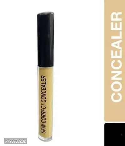 Professional Full Coverage Liquid Concealer