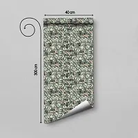 DeCorner - Self Adhesive Wallpaper for Walls (Dollar) Extra Large Size (300x40) Cm Wall Stickers for Bedroom | Wall Stickers for Living Room | Wall Stickers for Kitchen | Pack of-1-thumb3