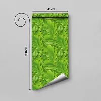 Self Adhesive Wallpapers (GreenPatti) Wall Stickers Extra Large (300x40cm) for Bedroom | Livingroom | Kitchen | Hall Etc-thumb1