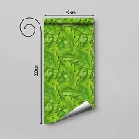 DeCorner - Self Adhesive Wallpaper for Walls (GreenPatti) Extra Large Size (300x40) Cm Wall Stickers for Bedroom | Wall Stickers for Living Room | Wall Stickers for Kitchen | Pack of-1-thumb1