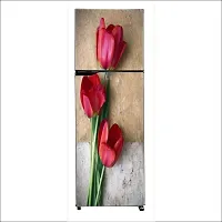 Self Adhesive Fridge Sticker Single/Double Door Full Size (160x60) Cm Fridge Stickers | Refrigerator Wall Stickers for Kitchen Decoration | Sticker for Fridge Door (RedTulip)-thumb3