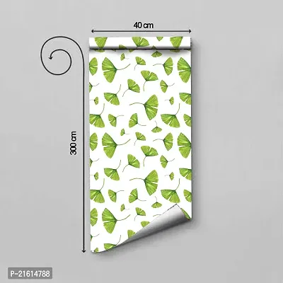 DeCorner - Self Adhesive Wallpaper for Walls (Biloba Leaf) Extra Large Size (300x40) Cm Wall Stickers for Bedroom | Wall Stickers for Living Room | Wall Stickers for Kitchen | Pack of-1-thumb2