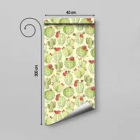 DeCorner - Self Adhesive Wallpaper for Walls (Cactus) Extra Large Size (300x40) Cm Wall Stickers for Bedroom | Wall Stickers for Living Room | Wall Stickers for Kitchen | Pack of-1-thumb1