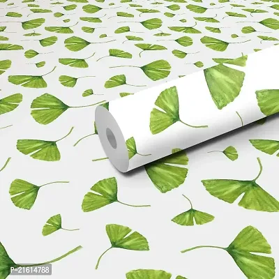 DeCorner - Self Adhesive Wallpaper for Walls (Biloba Leaf) Extra Large Size (300x40) Cm Wall Stickers for Bedroom | Wall Stickers for Living Room | Wall Stickers for Kitchen | Pack of-1