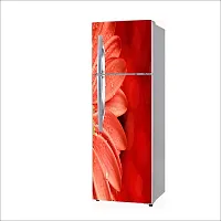 Self Adhesive Fridge Sticker Single/Double Door Full Size (160x60) Cm Fridge Stickers | Refrigerator Wall Stickers for Kitchen Decoration | Sticker for Fridge Door (BlurFlower)-thumb3