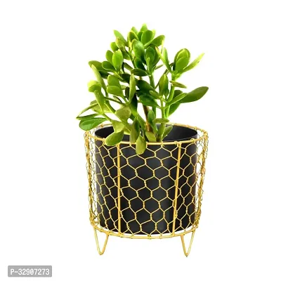 Nature at Homes Golden Cage Elegance Metal Pot with Gold Color Cage Stand for Indoor  Bedroom  Living room with  Size 15x15 X13CM