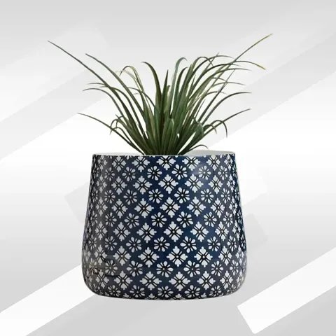 Trendy Plant & Planters 