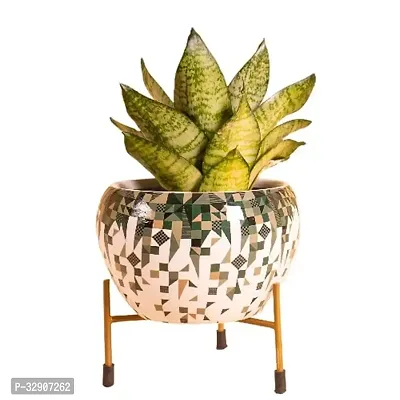 Nature at Homes Decorative Metal Plant Stand with Blossom Bright Orange Metal Planter Stand Planter   Durable  And Rust Free   Suitable for Indoor  And Outdoor Decor   Size 10 x 13 Cm Stand 7.5 Cm