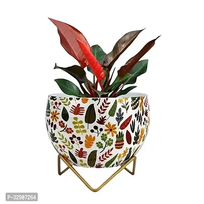 Nature at Homes Aurora Bloom Tri Stand Pot for Indoor Living Room  Bedroom  Balcony Gift Plant not Included  Pack of 1